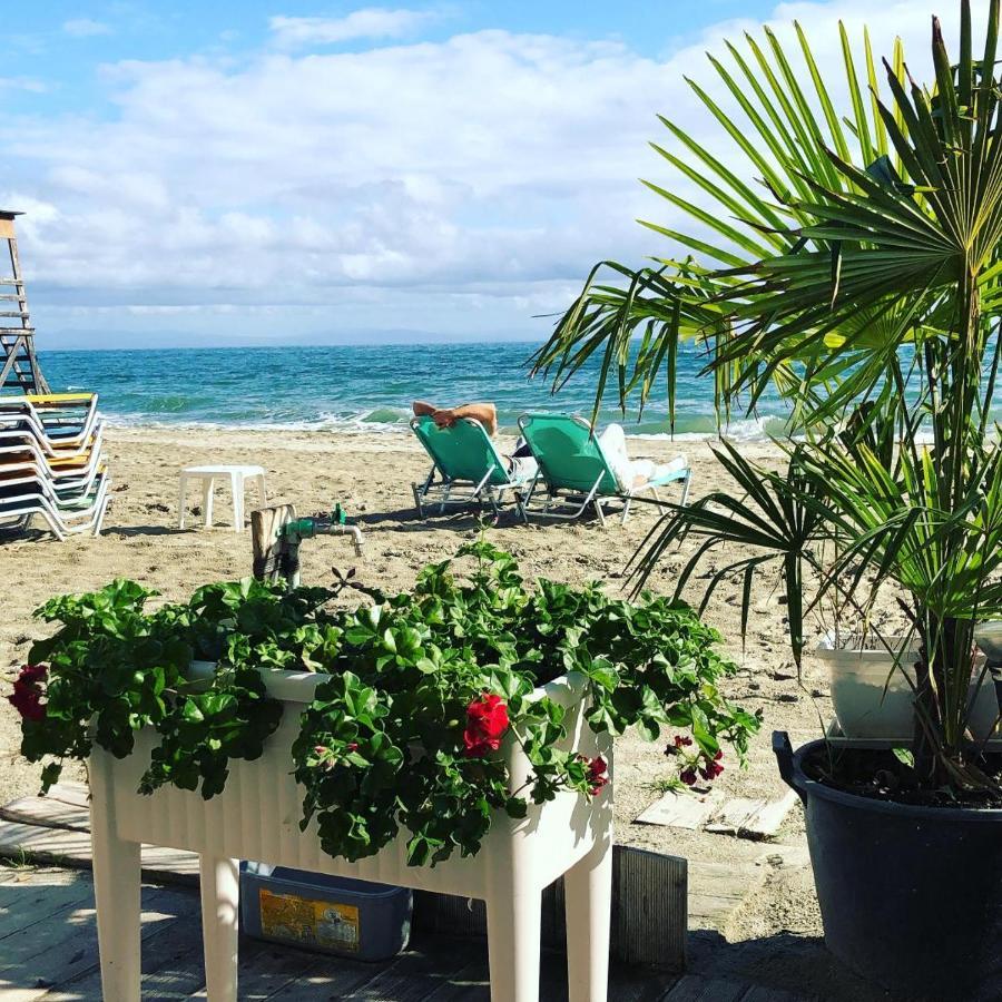 Dion Hotel Paralia Katerinis Exterior photo